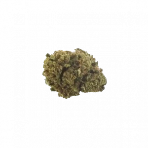 Elixir du week-end 10G